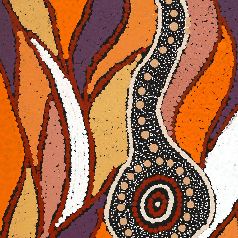 Aboriginal Artwork by Maria Nampijinpa Brown, Pamapardu Jukurrpa (Flying Ant Dreaming) - Warntungurru, 61x46cm