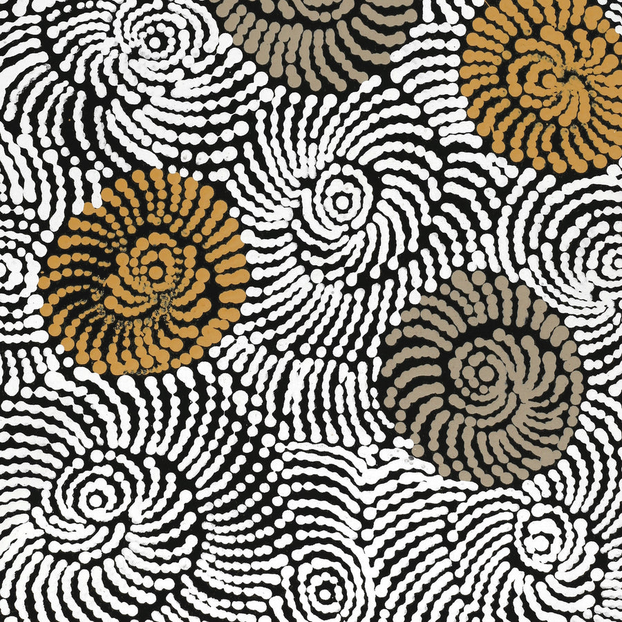 Aboriginal Artwork by Maria Nampijinpa Brown, Pamapardu Jukurrpa (Flying Ant Dreaming) - Warntungurru, 76x46cm