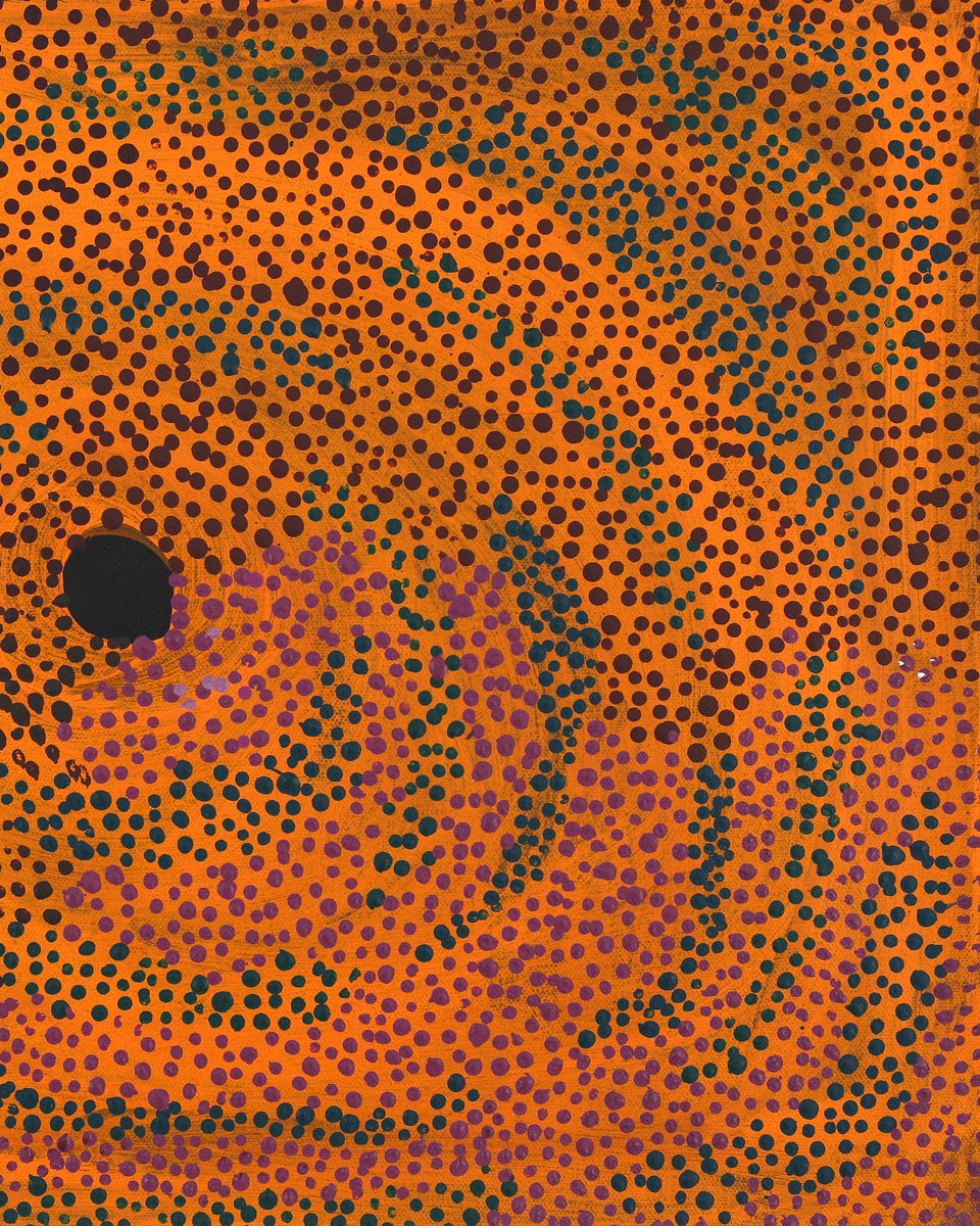 Aboriginal Artwork by Marianne Burton, Punmu Waterholes, 46x36cm