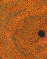 Aboriginal Artwork by Marianne Burton, Punmu Waterholes, 46x36cm