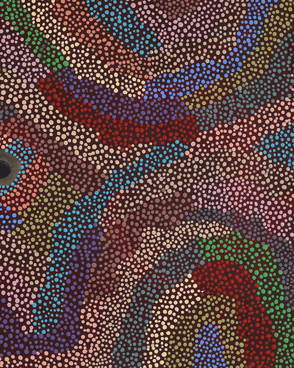 Aboriginal Artwork by Marianne Burton, Punmu Waterholes, 76x46cm