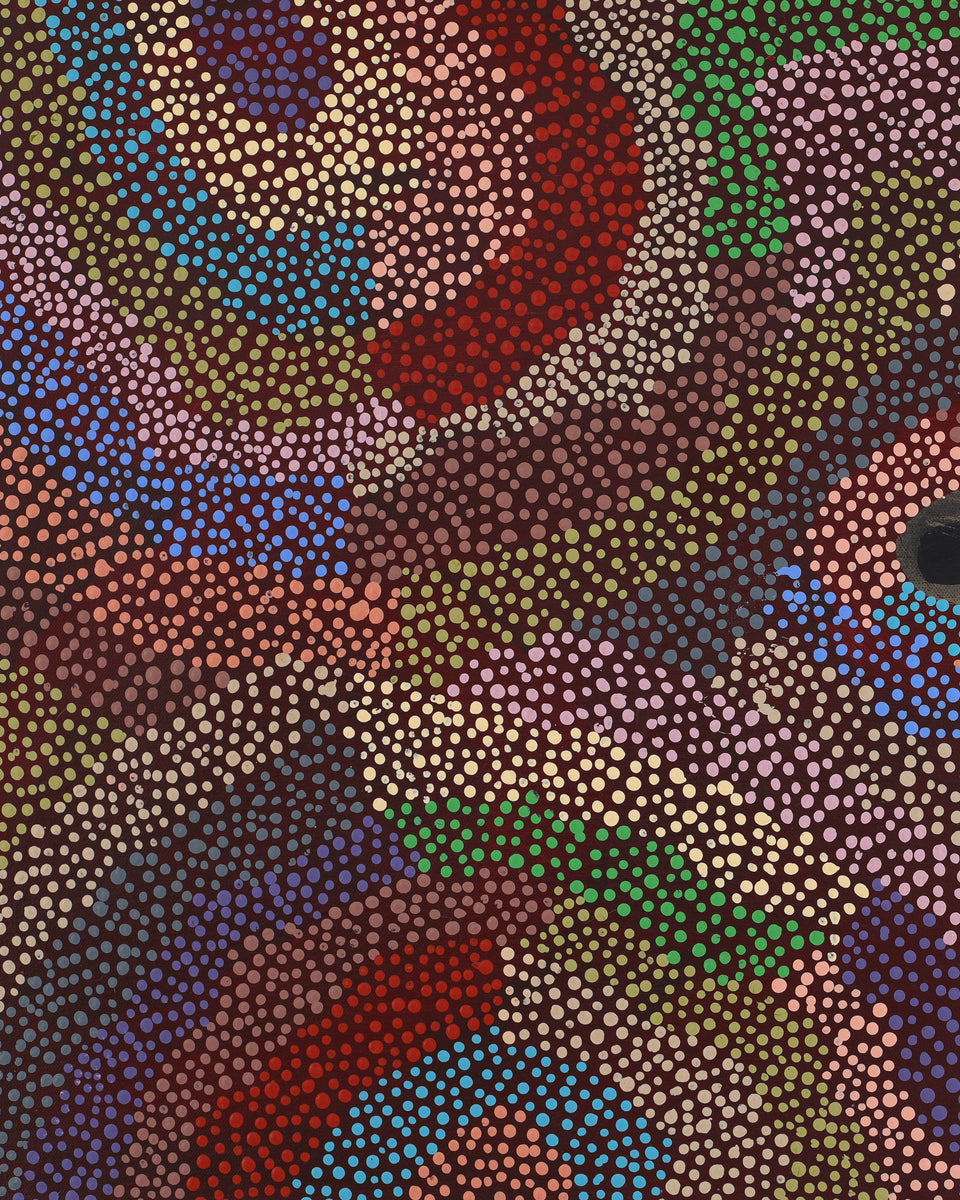 Aboriginal Artwork by Marianne Burton, Punmu Waterholes, 76x46cm