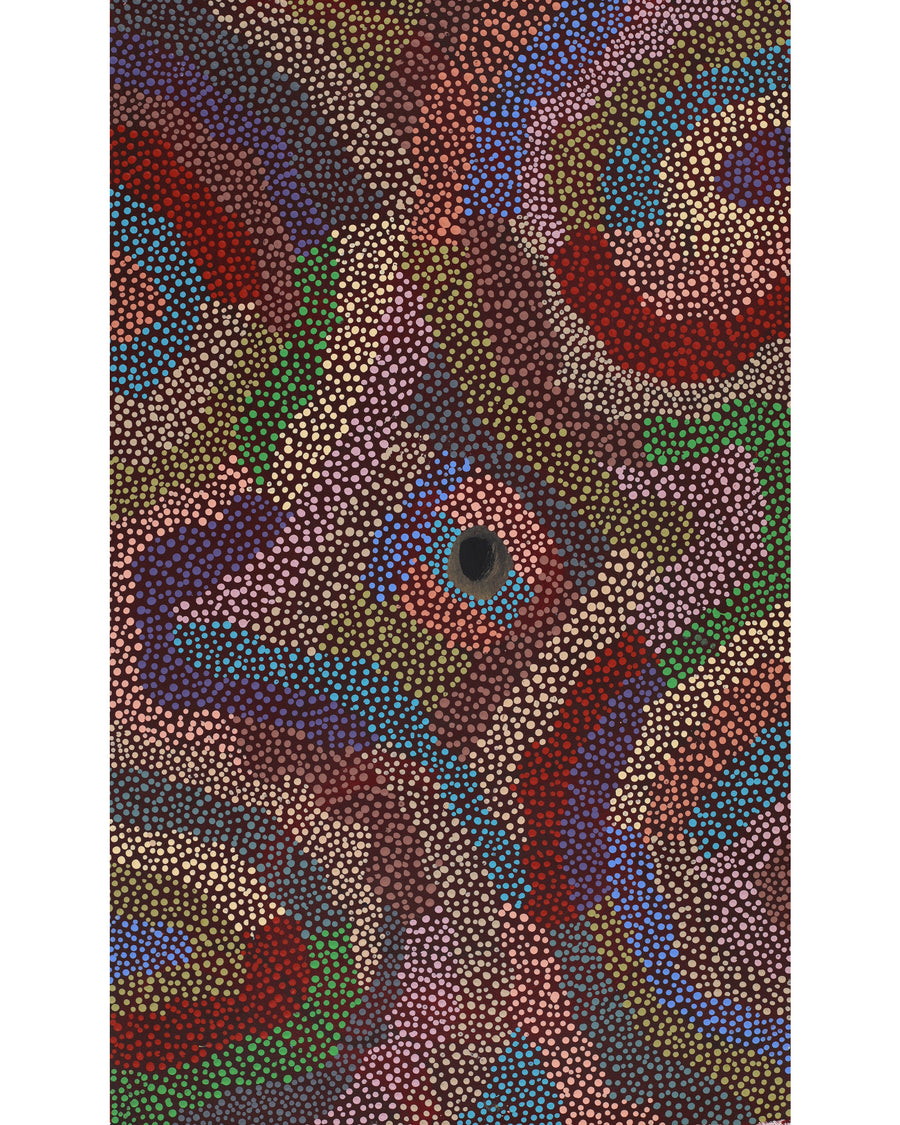 Aboriginal Artwork by Marianne Burton, Punmu Waterholes, 76x46cm