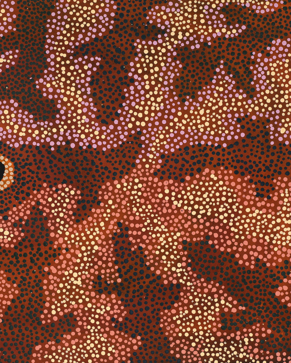 Aboriginal Artwork by Marianne Burton, Punmu Waterholes, 76x46cm