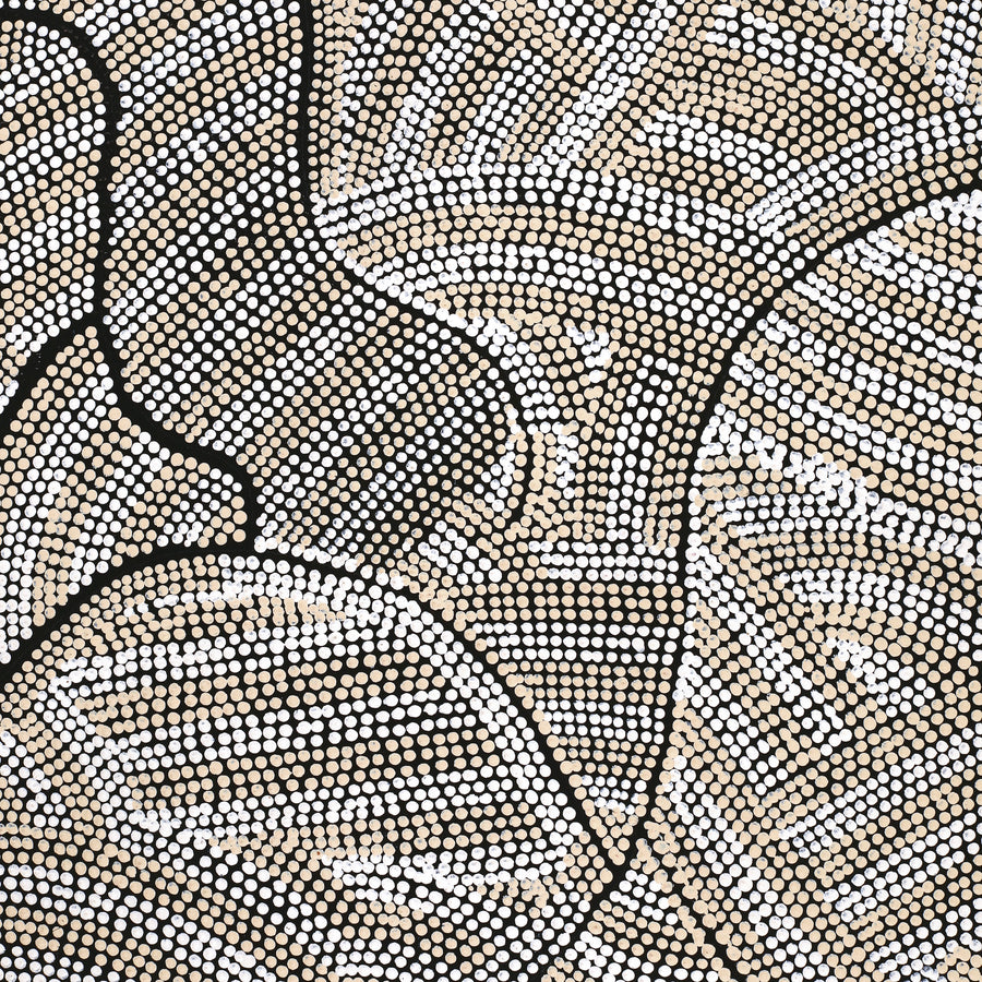 Aboriginal Artwork by Marissa Napanangka Anderson, Ngapa Jukurrpa (Water Dreaming) - Puyurru, 122x61cm