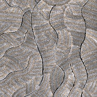 Aboriginal Artwork by Marissa Napanangka Anderson, Ngapa Jukurrpa (Water Dreaming) - Puyurru, 122x61cm