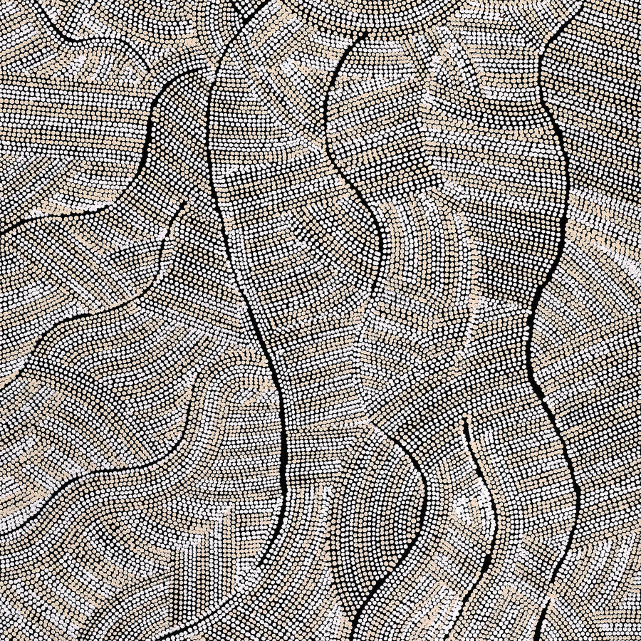 Aboriginal Artwork by Marissa Napanangka Anderson, Ngapa Jukurrpa (Water Dreaming) - Puyurru, 122x61cm