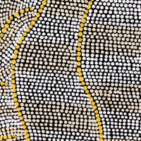 Aboriginal Artwork by Marissa Napanangka Anderson, Ngapa Jukurrpa (Water Dreaming) - Puyurru, 76x61cm