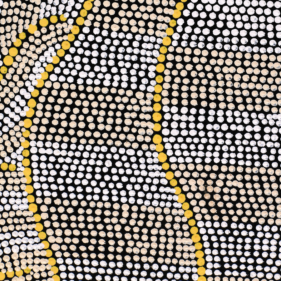 Aboriginal Artwork by Marissa Napanangka Anderson, Ngapa Jukurrpa (Water Dreaming) - Puyurru, 76x61cm