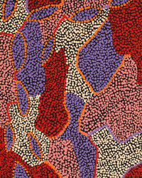 Aboriginal Artwork by Marita Napanangka Marshall, Yuparli Jukurrpa (Bush Banana Dreaming), 76x30cm