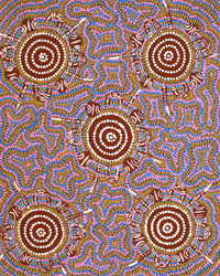 Aboriginal Artwork by Martina Napangardi Wheeler, Mirri-jarra Jukurrpa (Shield Dreaming), 50x40cm
