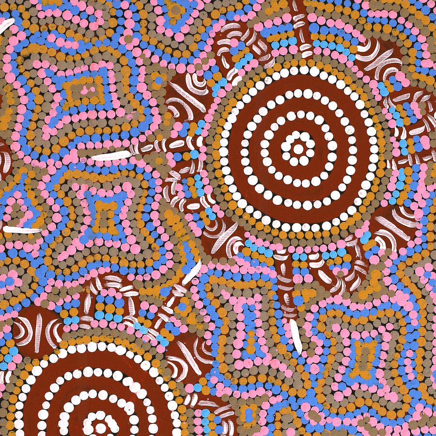 Aboriginal Artwork by Martina Napangardi Wheeler, Mirri-jarra Jukurrpa (Shield Dreaming), 50x40cm