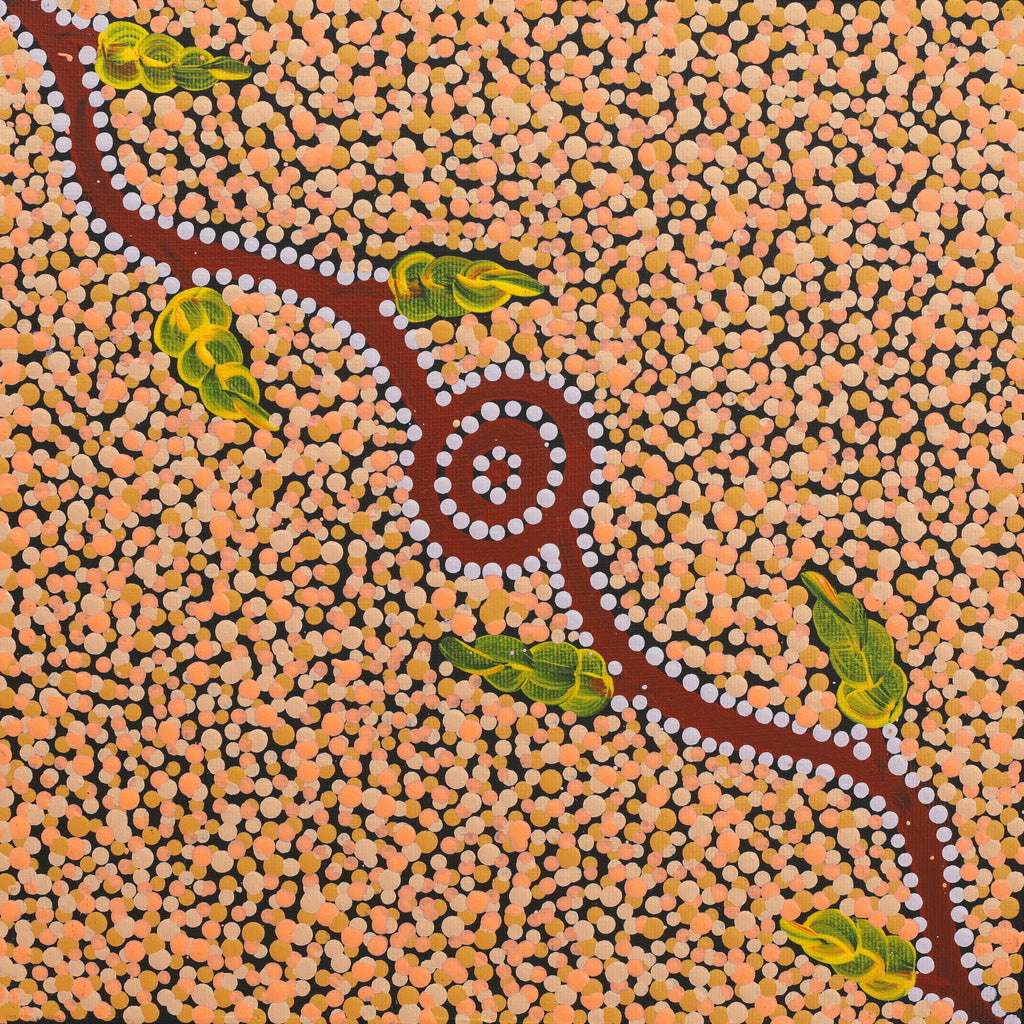 Aboriginal Artwork by Marsha Nangala Williams, Watiya-warnu Jukurrpa (Seed Dreaming), 30x30cm