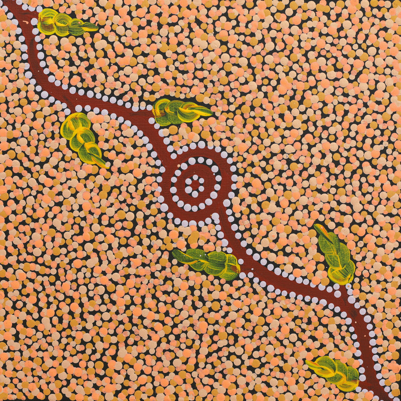 Aboriginal Artwork by Marsha Nangala Williams, Watiya-warnu Jukurrpa (Seed Dreaming), 30x30cm