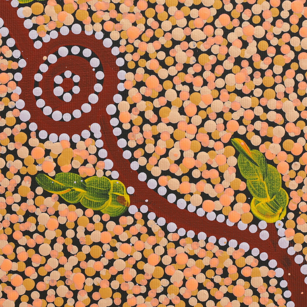 Aboriginal Artwork by Marsha Nangala Williams, Watiya-warnu Jukurrpa (Seed Dreaming), 30x30cm
