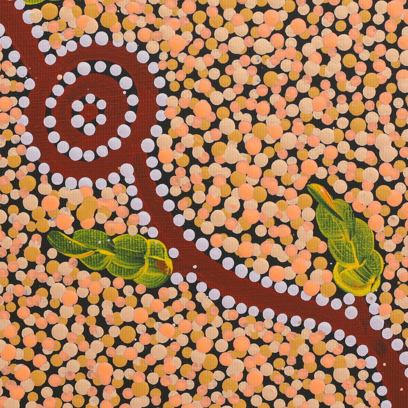 Aboriginal Artwork by Marsha Nangala Williams, Watiya-warnu Jukurrpa (Seed Dreaming), 30x30cm