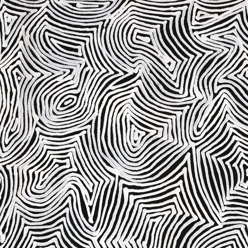 Aboriginal Artwork by Marshall Jangala Robertson, Watiya-warnu Jukurrpa (Seed Dreaming), 61x46cm