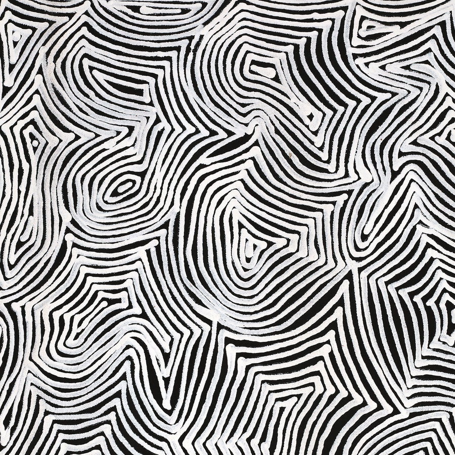 Aboriginal Artwork by Marshall Jangala Robertson, Watiya-warnu Jukurrpa (Seed Dreaming), 61x46cm