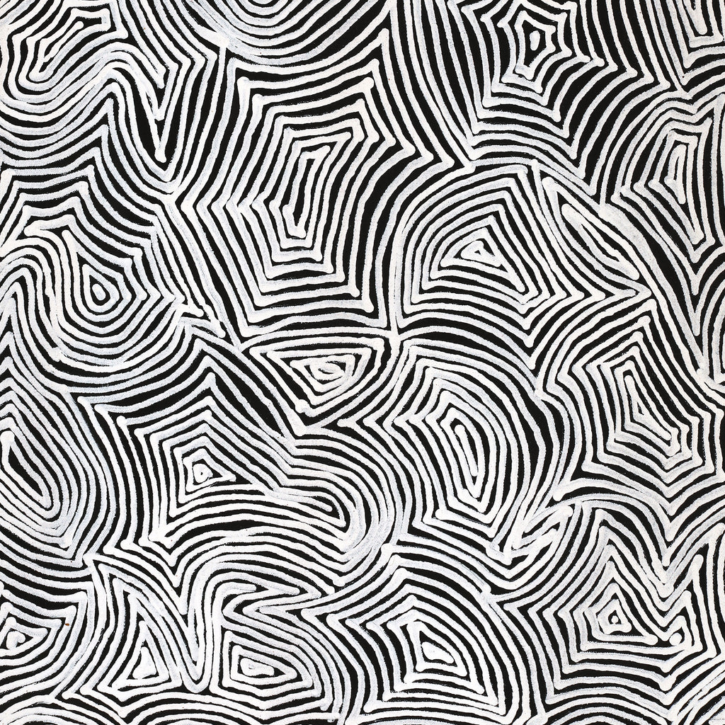 Aboriginal Artwork by Marshall Jangala Robertson, Watiya-warnu Jukurrpa (Seed Dreaming), 61x46cm