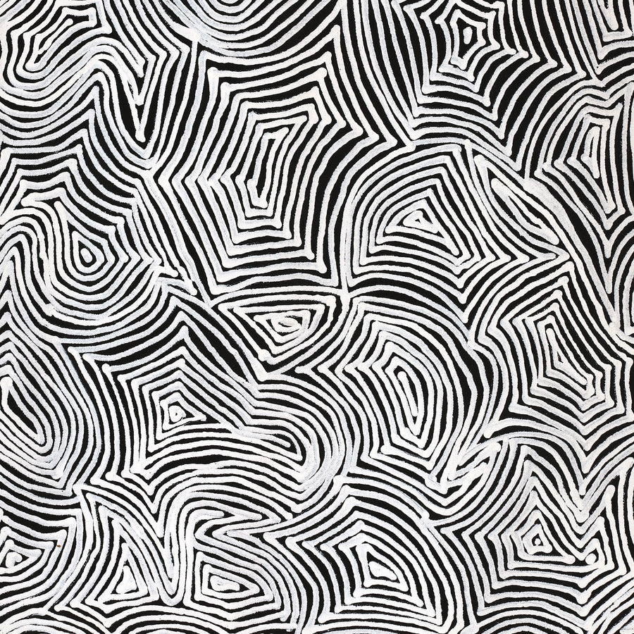 Aboriginal Artwork by Marshall Jangala Robertson, Watiya-warnu Jukurrpa (Seed Dreaming), 61x46cm