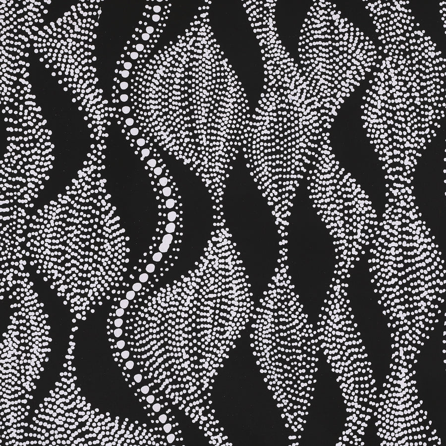Aboriginal Artwork by Marshall Jangala Robertson, Watiya-warnu Jukurrpa (Seed Dreaming), 61x61cm