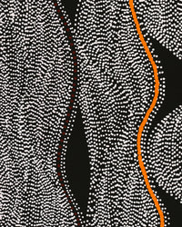 Aboriginal Artwork by Marshall Jangala Robertson, Watiya-warnu Jukurrpa (Seed Dreaming), 107x46cm