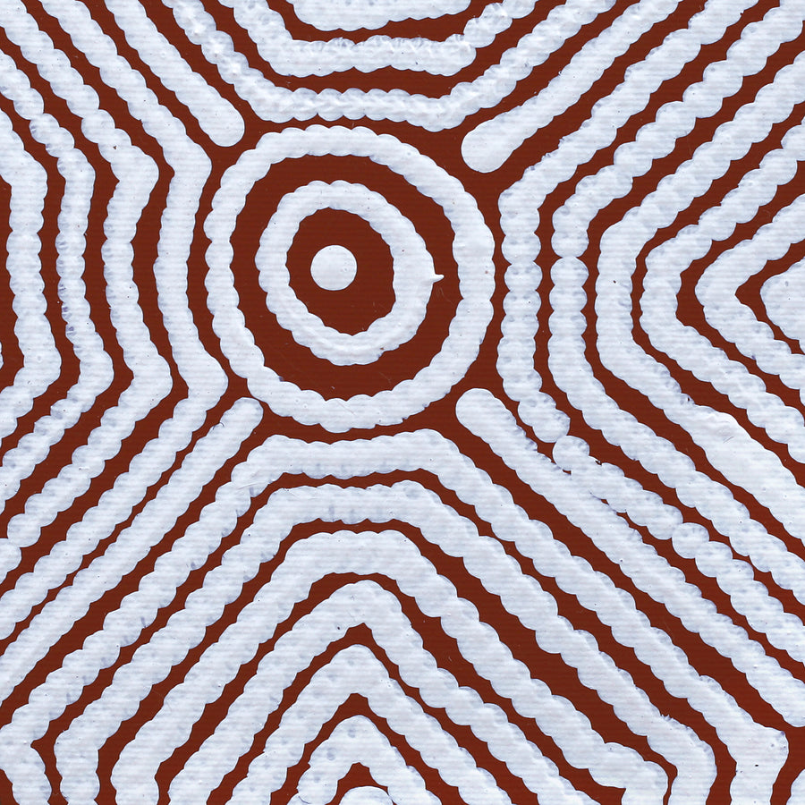Aboriginal Artwork by Marshall Jangala Robertson, Watiya-warnu Jukurrpa (Seed Dreaming), 30x30cm