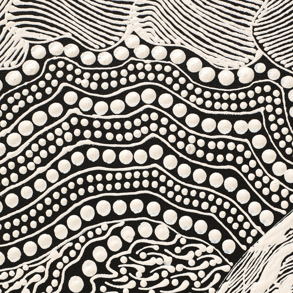 Aboriginal Artwork by Mary Napangardi Butcher, Pikilyi Jukurrpa, 61x30cm