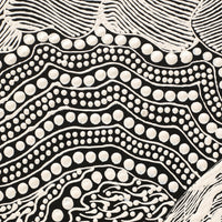 Aboriginal Artwork by Mary Napangardi Butcher, Pikilyi Jukurrpa, 61x30cm