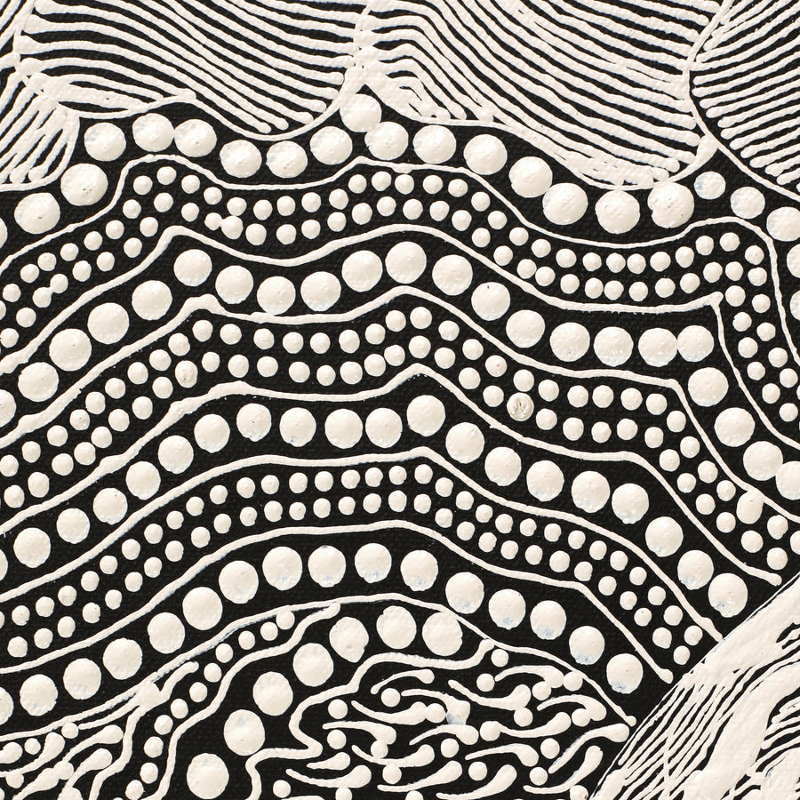 Aboriginal Artwork by Mary Napangardi Butcher, Pikilyi Jukurrpa, 61x30cm