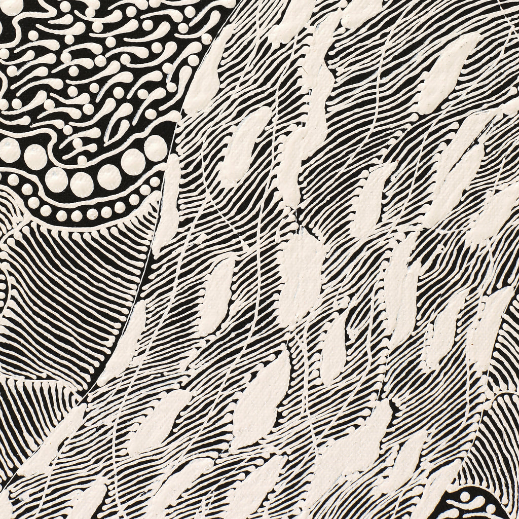 Aboriginal Artwork by Mary Napangardi Butcher, Pikilyi Jukurrpa, 61x30cm