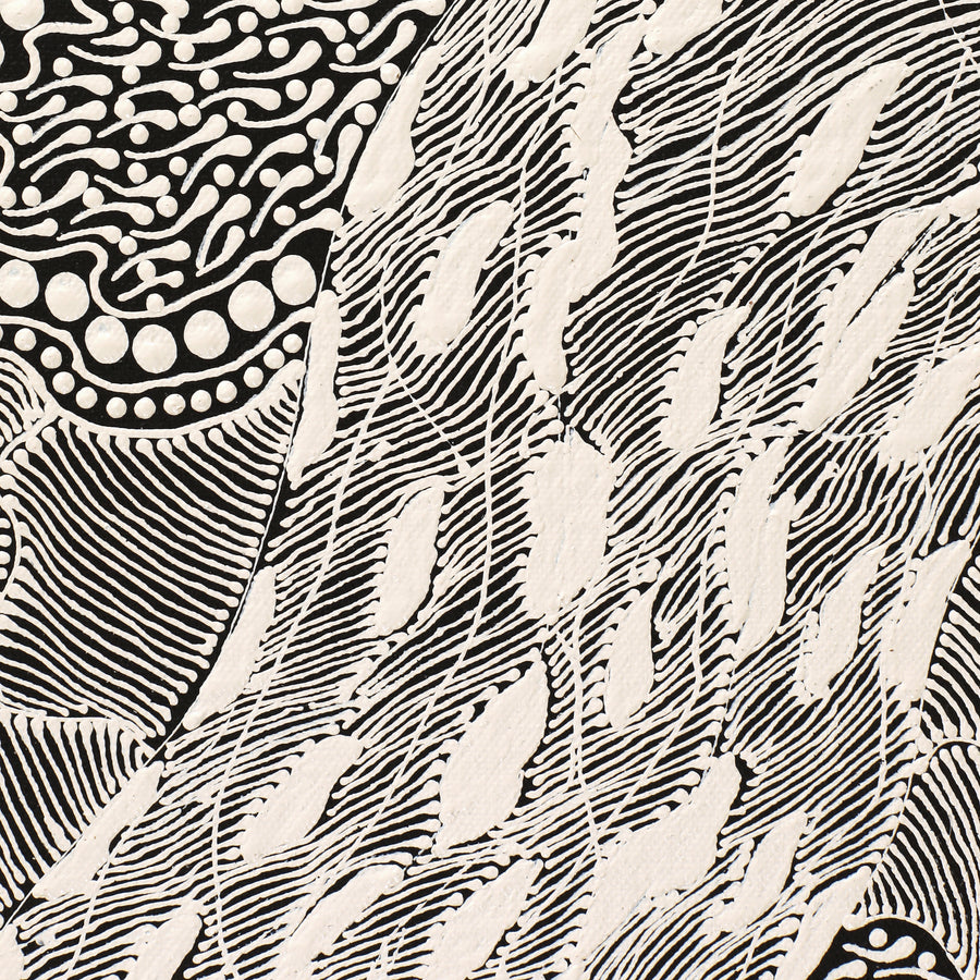 Aboriginal Artwork by Mary Napangardi Butcher, Pikilyi Jukurrpa, 61x30cm