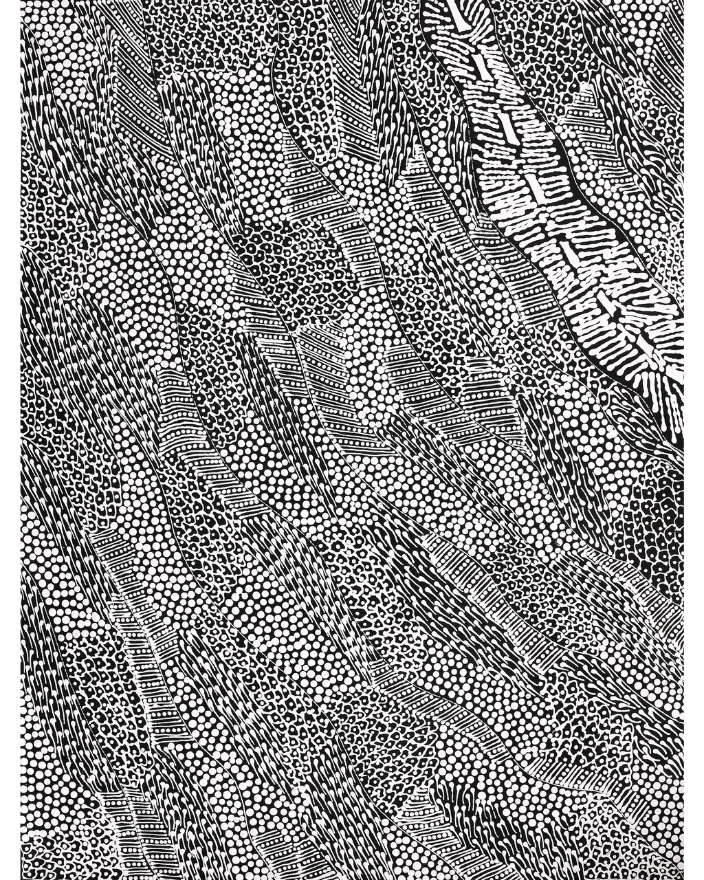 Aboriginal Artwork by Mary Napangardi Butcher, Pikilyi Jukurrpa, 61x46cm