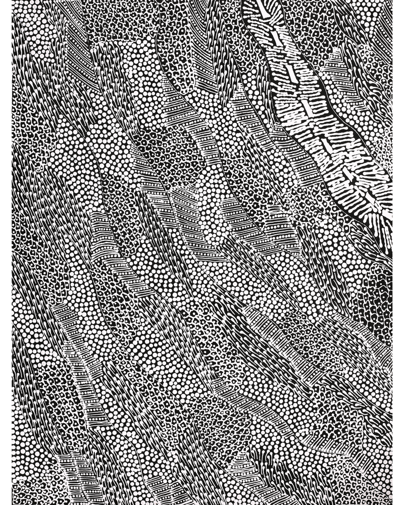 Aboriginal Artwork by Mary Napangardi Butcher, Pikilyi Jukurrpa, 61x46cm
