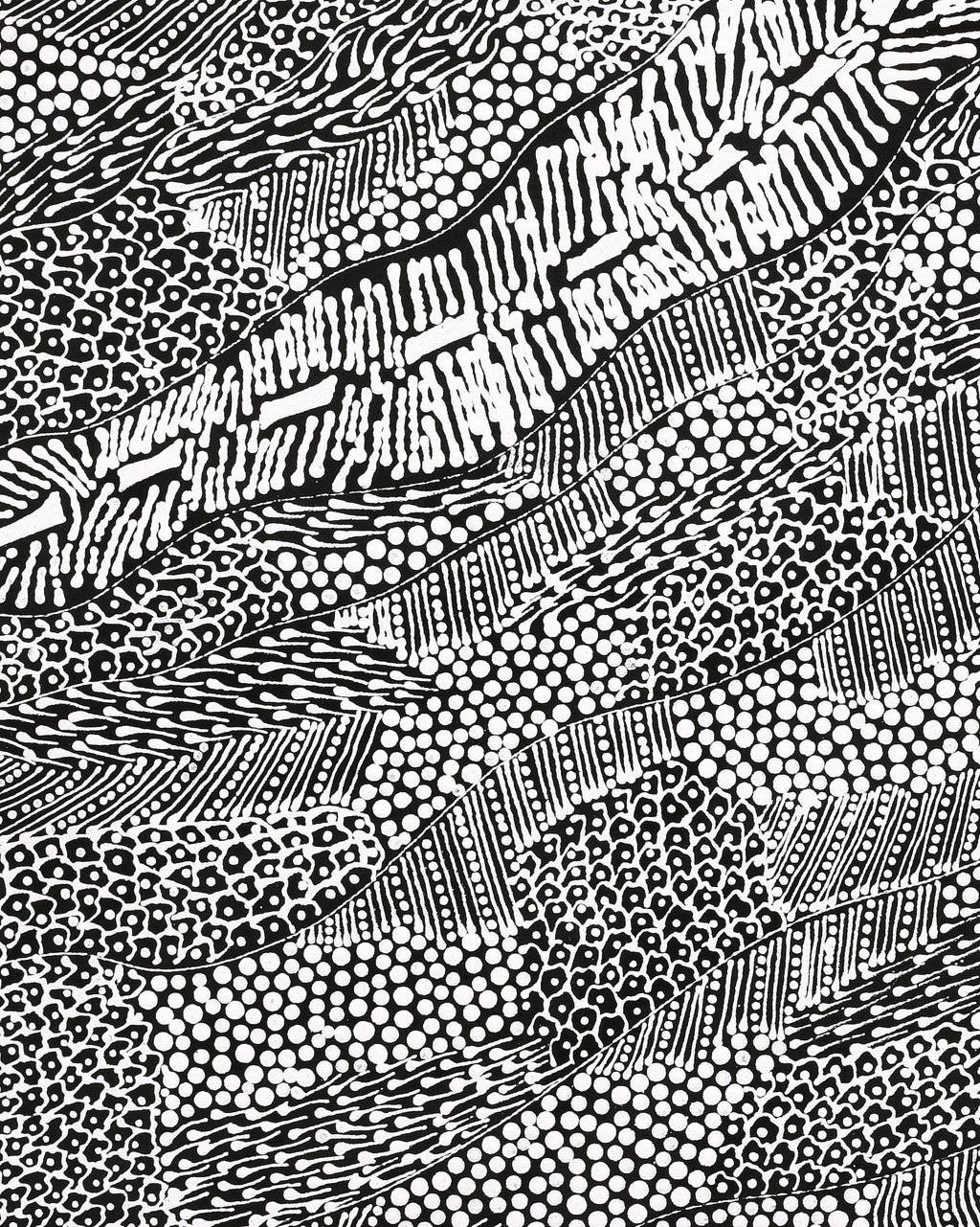 Aboriginal Artwork by Mary Napangardi Butcher, Pikilyi Jukurrpa, 61x46cm