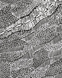 Aboriginal Artwork by Mary Napangardi Butcher, Pikilyi Jukurrpa, 61x46cm