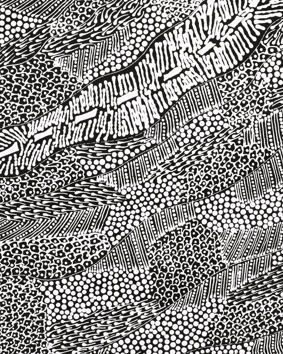 Aboriginal Artwork by Mary Napangardi Butcher, Pikilyi Jukurrpa, 61x46cm