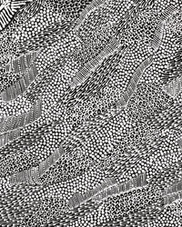 Aboriginal Artwork by Mary Napangardi Butcher, Pikilyi Jukurrpa, 61x46cm