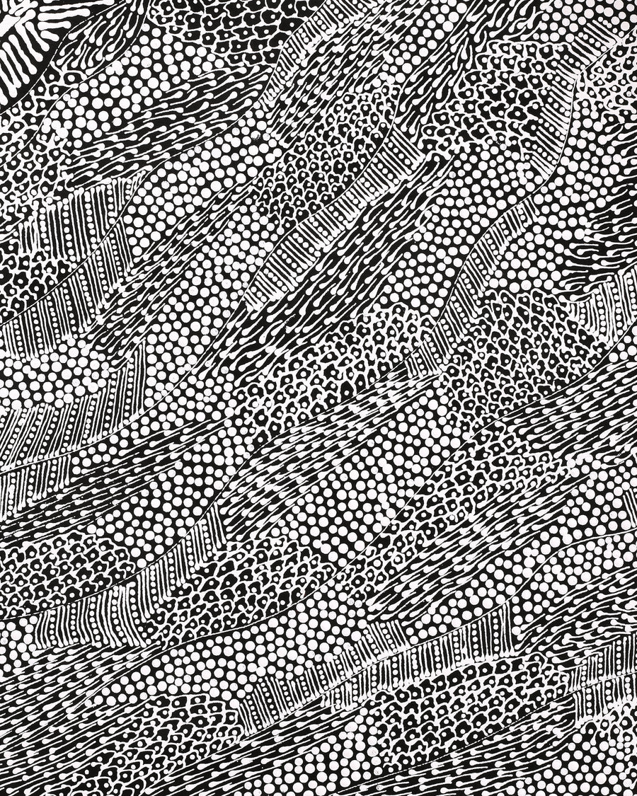 Aboriginal Artwork by Mary Napangardi Butcher, Pikilyi Jukurrpa, 61x46cm