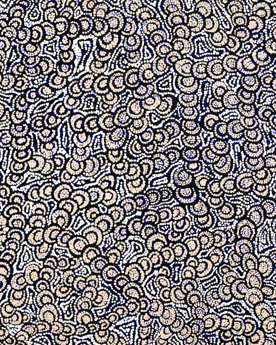 Aboriginal Artwork by Melinda Napurrurla Wilson, Lukarrara Jukurrpa, 107x76cm