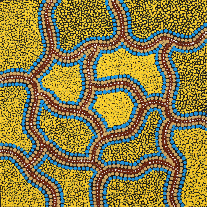 Aboriginal Art by Melissa Napangardi Williams, Wardapi Jukurrpa (Goanna Dreaming) - Yarripilangu , 30x30cm - ART ARK®