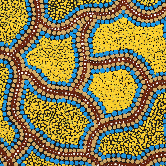 Aboriginal Art by Melissa Napangardi Williams, Wardapi Jukurrpa (Goanna Dreaming) - Yarripilangu , 30x30cm - ART ARK®