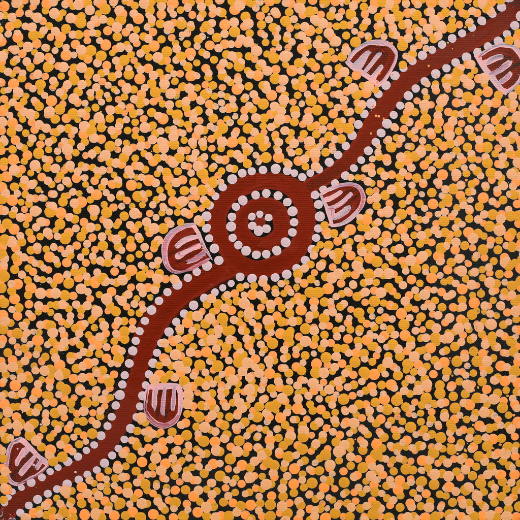 Aboriginal Artwork by Melissa Napangardi Williams, Wardapi Jukurrpa (Goanna Dreaming) - Yarripilangu, 30x30cm