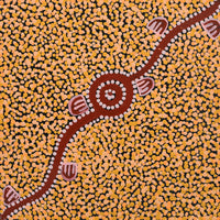 Aboriginal Artwork by Melissa Napangardi Williams, Wardapi Jukurrpa (Goanna Dreaming) - Yarripilangu, 30x30cm