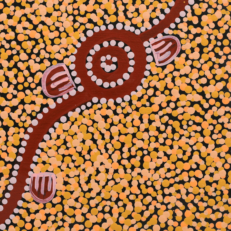 Aboriginal Artwork by Melissa Napangardi Williams, Wardapi Jukurrpa (Goanna Dreaming) - Yarripilangu, 30x30cm