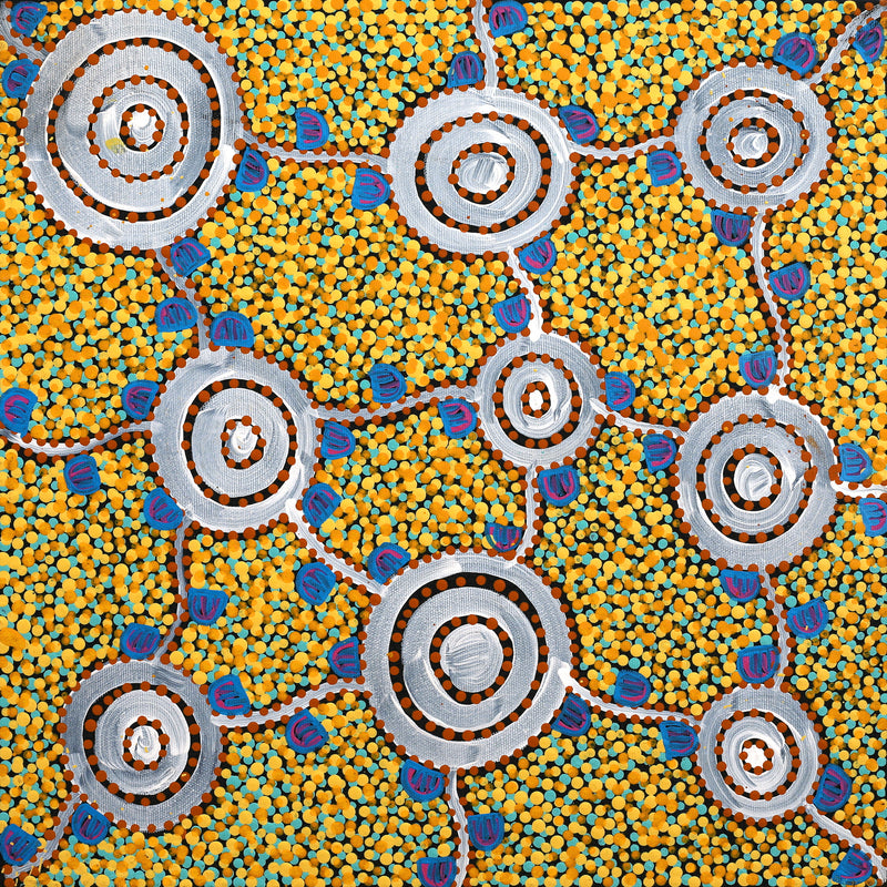 Aboriginal Artwork by Melissa Napangardi Williams, Wardapi Jukurrpa (Goanna Dreaming) - Yarripilangu , 40x40cm