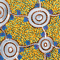 Aboriginal Artwork by Melissa Napangardi Williams, Wardapi Jukurrpa (Goanna Dreaming) - Yarripilangu , 40x40cm