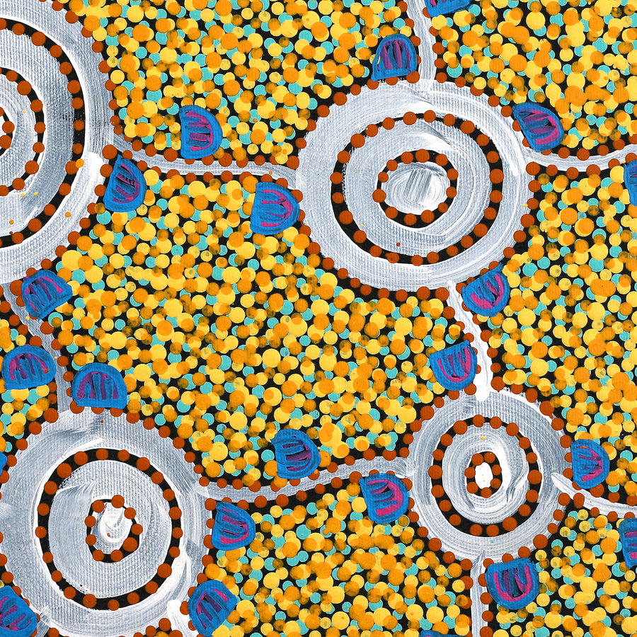 Aboriginal Artwork by Melissa Napangardi Williams, Wardapi Jukurrpa (Goanna Dreaming) - Yarripilangu , 40x40cm