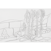 Aboriginal Artwork by Mervyn Rubuntja, Alyape (Palm Valley), NT, 54x36cm