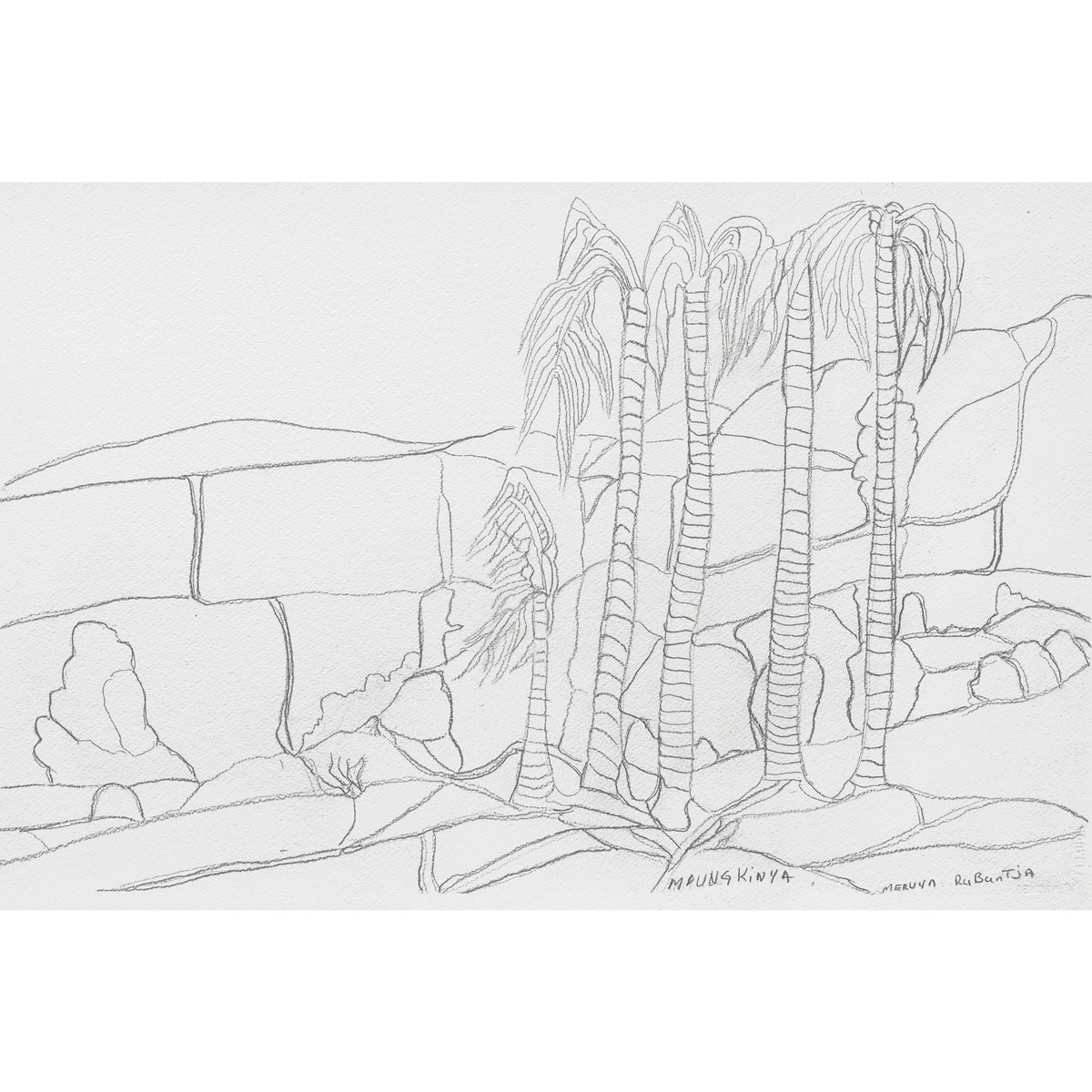 Aboriginal Artwork by Mervyn Rubuntja, Alyape (Palm Valley), NT, 54x36cm